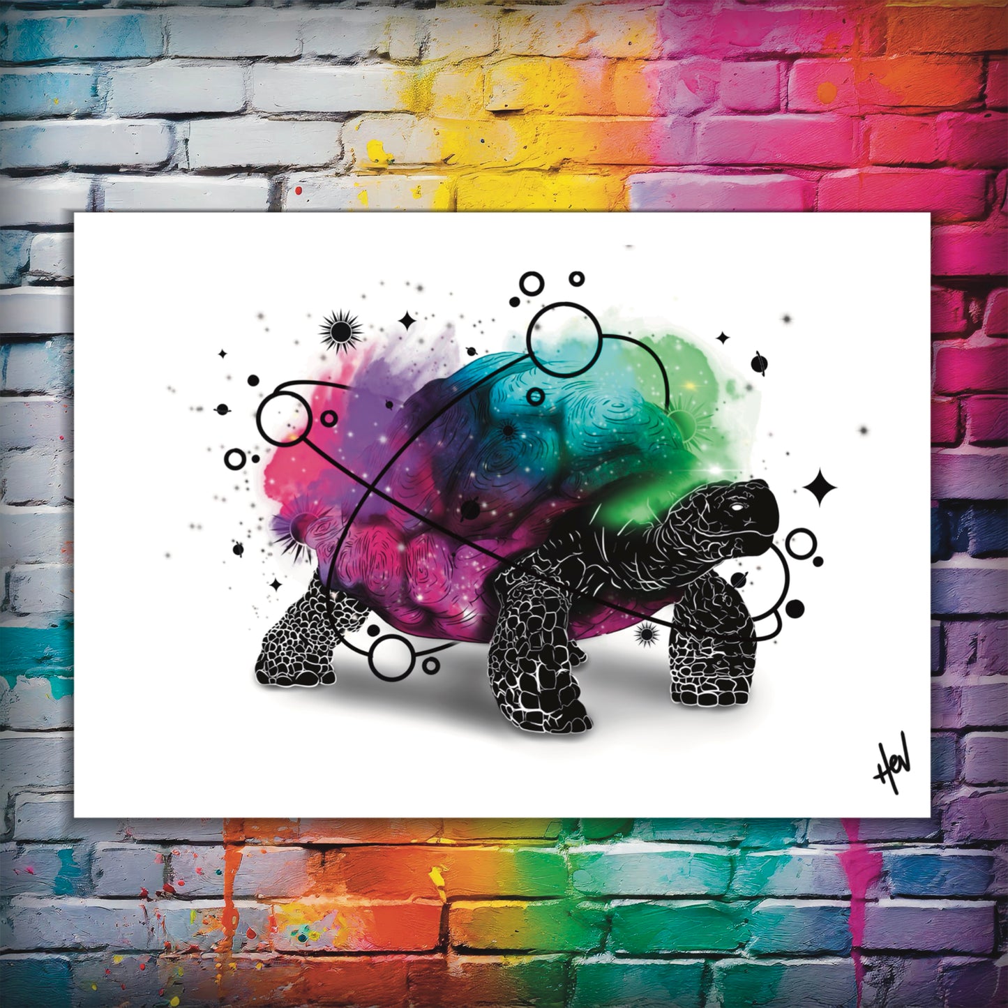 The Cosmic Tortoise