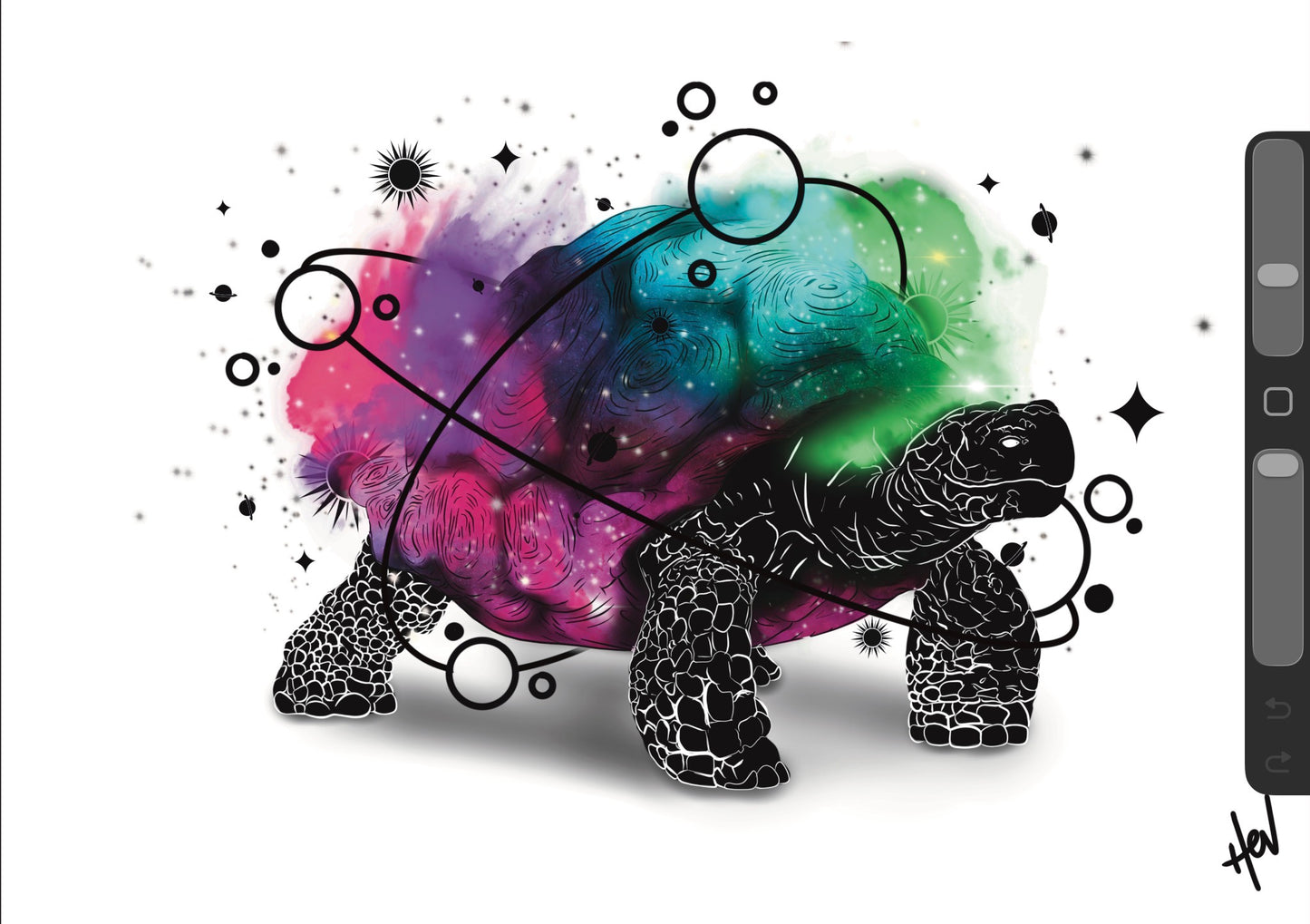 The Cosmic Tortoise